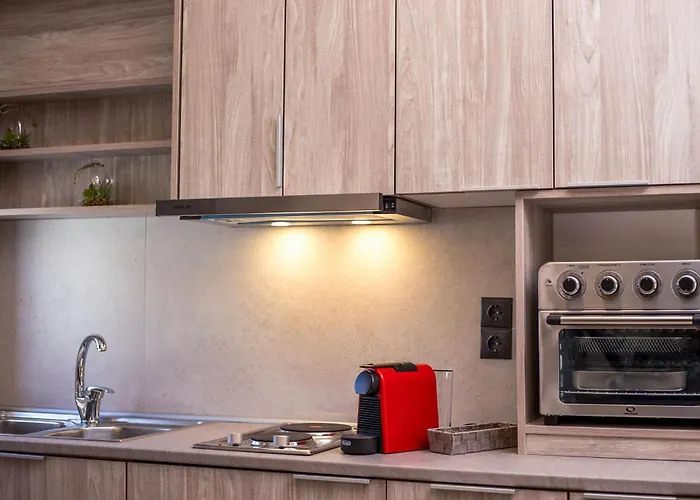 Lejlighed Oleana Center